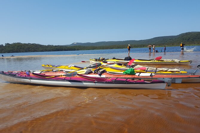Self-Guided Noosa Everglades Kayak Tour - Kayak Rental Features