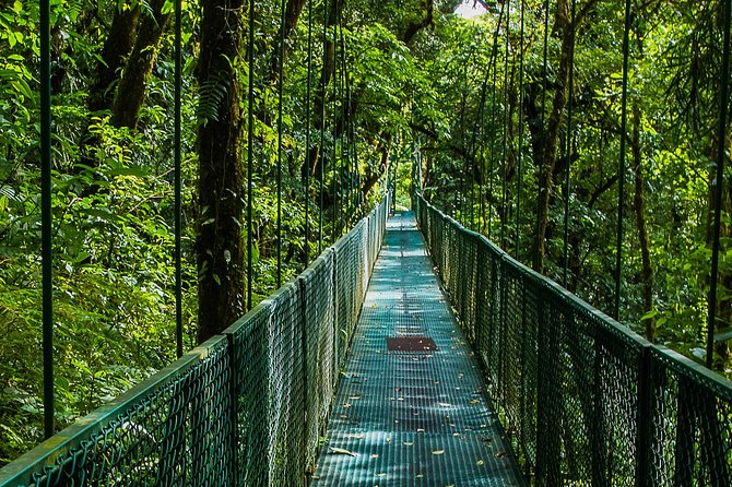 Selvatura Park Combo Tour From Monteverde - Inclusions of the Tour