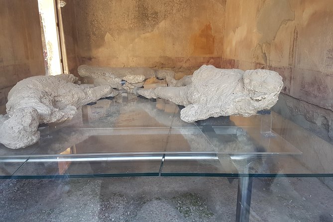 Semi-Private Day Tour Naples and Pompeii From Rome With Lunch - Professional Pompeii Guided Tour