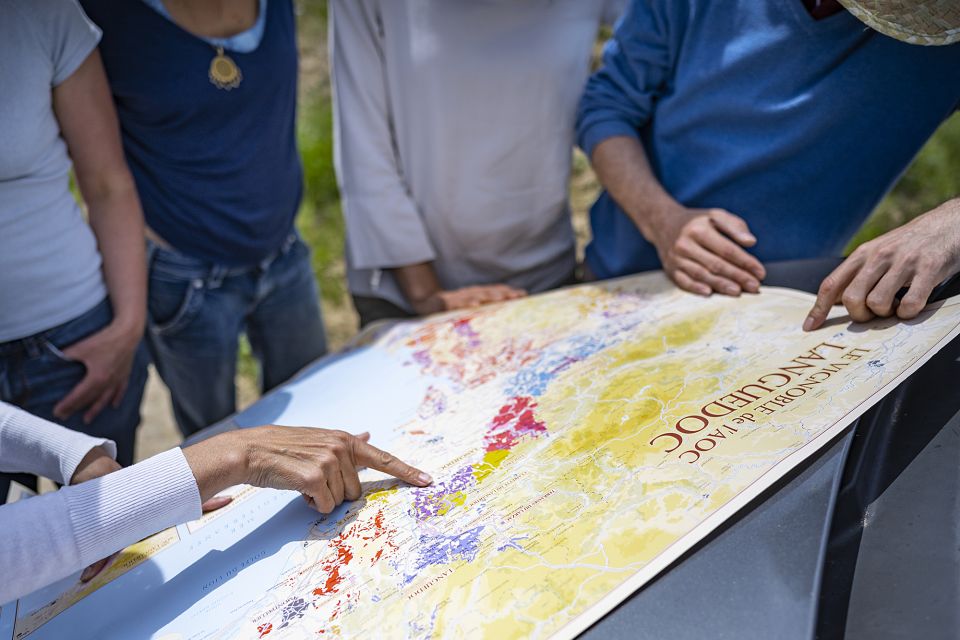 Sète: Half–Day Wine Tour - Itinerary and Experience