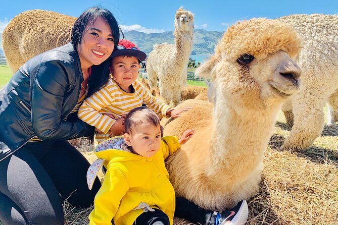 Shamarra Alpaca Farm Tours - Accessibility Features