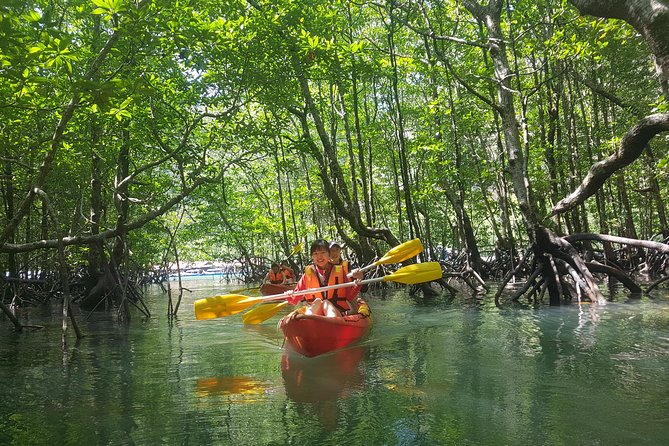 Sharing Basis Full Day Kilim Mangrove Kayaking Tour From Langkawi - Exploring the Mangrove Forest