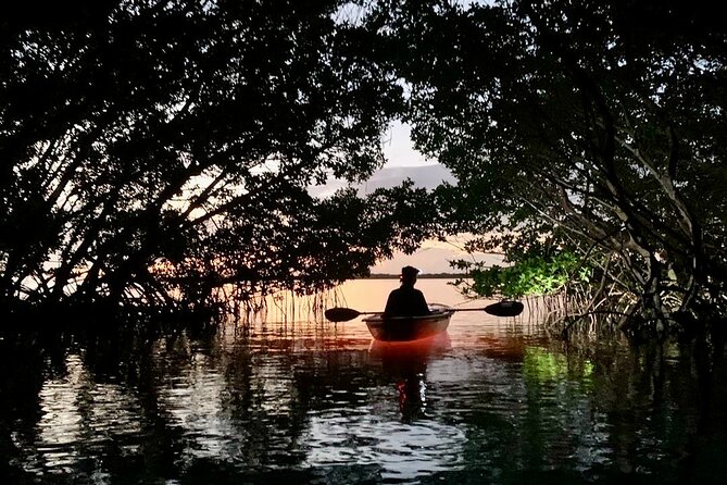 Shell Key Clear Kayak Glow in the Dark Tour - Unique Nighttime Experience