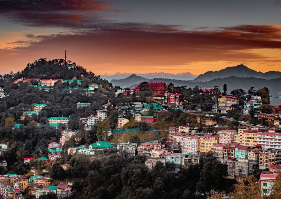 Shimla Nature Walk (3 Hours Guided Trekking Experience) - Itinerary Highlights