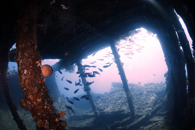 Shipwreck Diving in Tulamben - The Shipwreck Experience