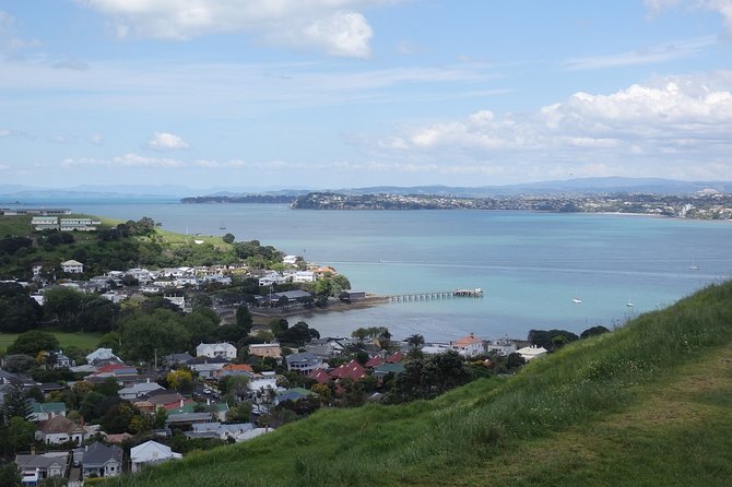 Shore Excursion: Half Day Small Group Auckland Scenic Tour - 4 HOURS - Scenic Highlights