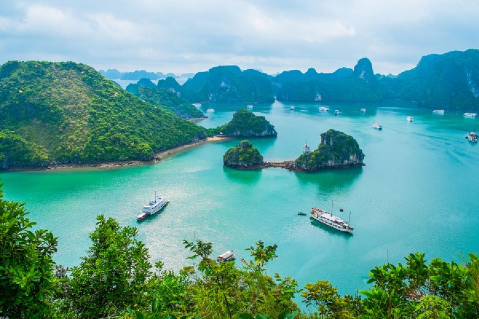 Shore Excursion: Halong Bay Cruise Day Trip From Halong Port - Itinerary Highlights