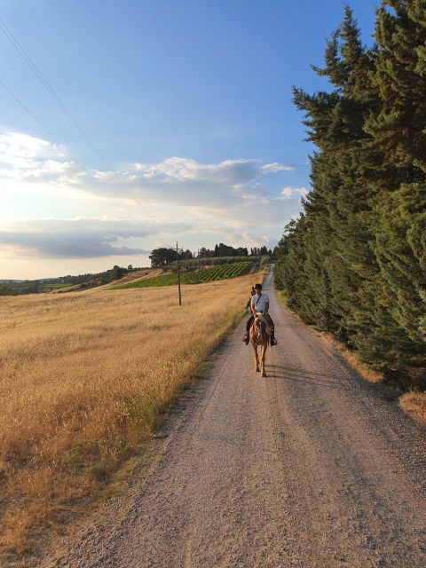 Siena: Horseback Riding Tour in the Siena Countryside - Experience and Itinerary