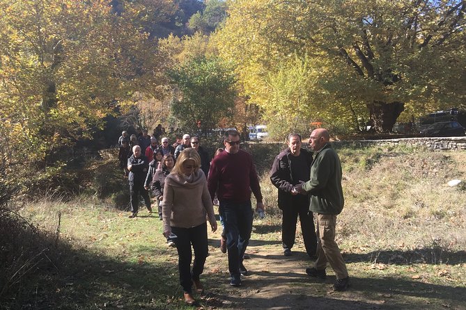 Sightseeing Zagori Daily Tour - Unique Experiences