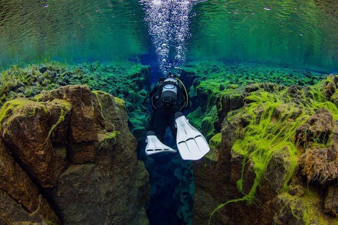 Silfra Fissure Freshwater Scuba Diving Tour From Reykjavik - Inclusions and Pickup Locations