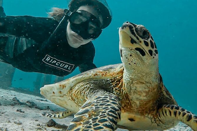 Similan Islands Private Tour - Inclusions and Amenities