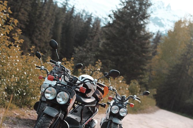Skagway Scooter Gold Rush Adventure - Wildlife and Scenic Views