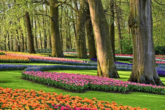 Skip-The-Line Keukenhof Gardens Sighseeing Tour From Amsterdam - Transportation Details