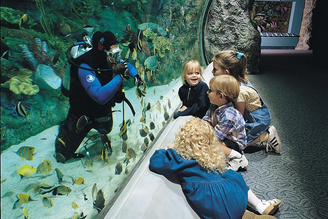 Skip the Ticketing Line: Aquarium of the Pacific General Admission Ticket - Ticketing Process