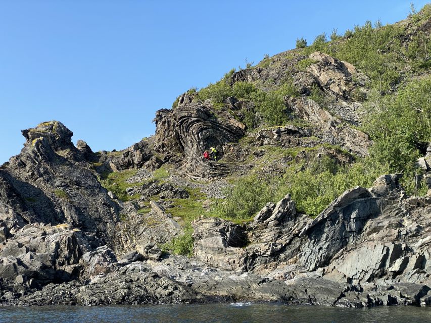 Skjervøy: Birds and Wildlife of Arctic Norway - Unique Arctic Wildlife