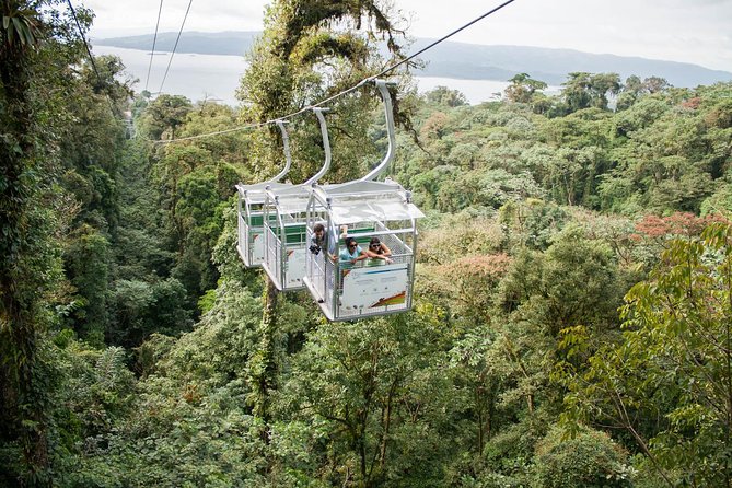 Sky Adventures Park Zipline Course and Aerial Tram in Arenal Park - Zipline Course Experience