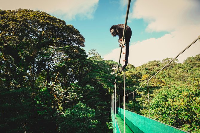 Sky Walk- Sky Tram & Sky Trek Zipline From Monteverde - Meeting and Pickup Details