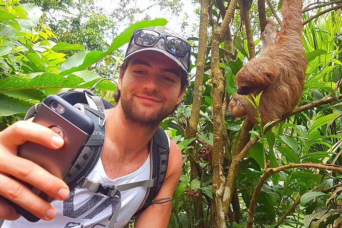 Sloth Discovery From Playa Del Coco Area - Meeting Points and Schedule