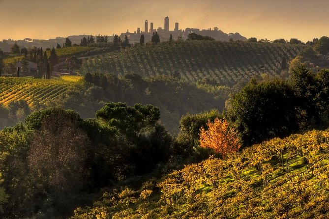 Small-Group Chianti and San Gimignano Sunset Trip From Siena - Inclusions