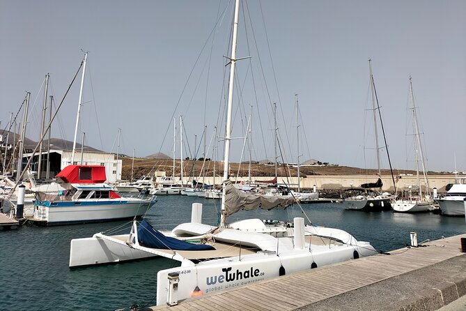 Small Group Dolphin Sunset Tour on Electric Catamaran Lanzarote - Crew and Environmental Commitment