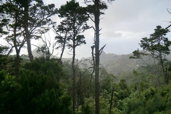 Small Group Guided Hiking in Anaga Rural Park in Tenerife - Group Size and Experience
