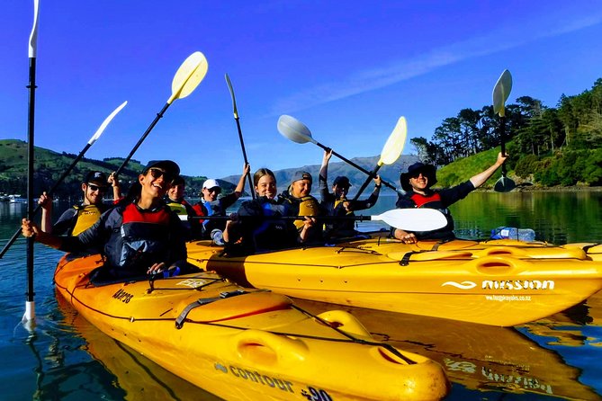 Small Group Guided Sea Kayaking in Akaroa Marine Reserve - Included Amenities