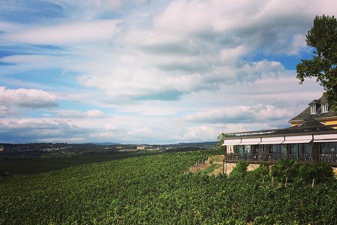 Small Group Rheingau Vineyards Tour With Castles and Abbeys - Inclusions and Amenities