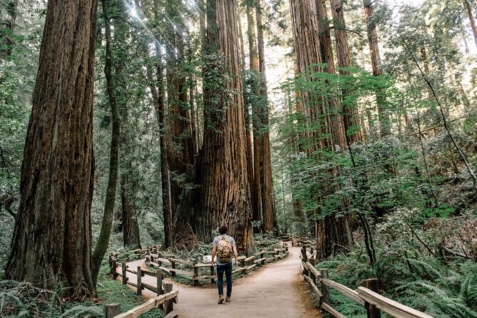 Small Group: SF, Muir Woods and Sausalito + Optional Alcatraz - Itinerary Details