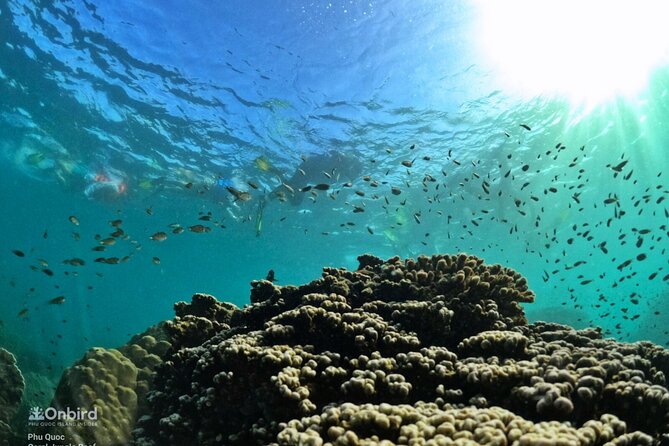 [Small-Group] SNORKELING & SUNSET MEAL at Private Beach-Max 9 PAX - Itinerary Details