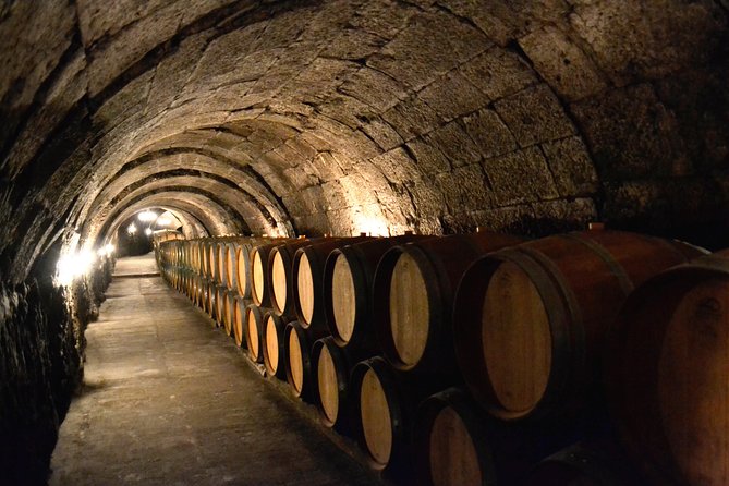 Small Group Tour - Ribera Del Duero Super Taster With Lunch - Itinerary Highlights