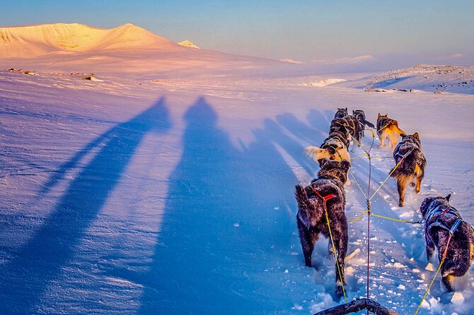 Small-Group Wilderness Husky Sledding 2h Away From Tromsø - Meeting Point and Pickup