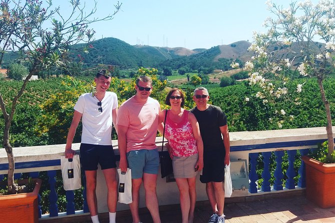 Small-Group Wine Tour & Silves Exploration (from Albufeira) - Wine Tasting at the Winery
