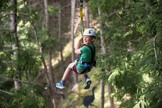 Small-Group Zipline Adventure in Queenstown - Meeting Point and Access