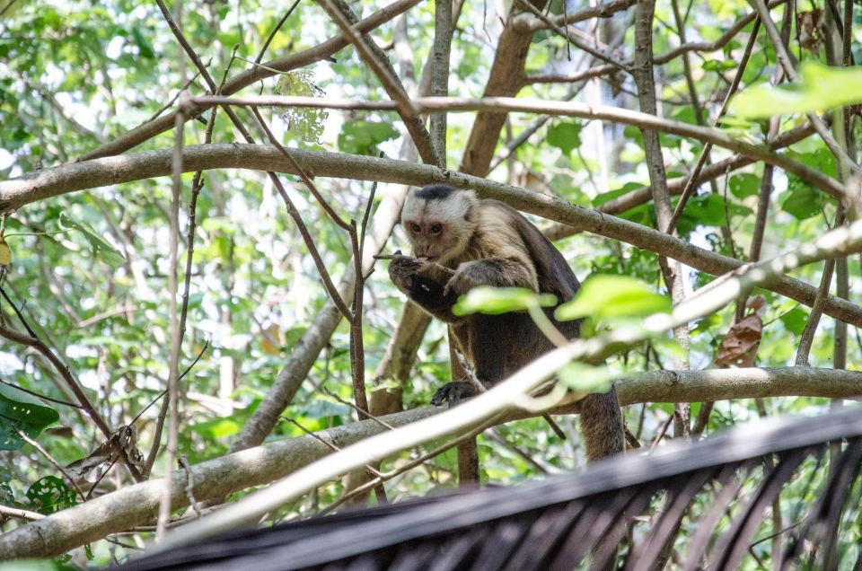 SMR TAYRONA NATIONAL PARK - Trek to Cabo San Juan - Highlights of the Journey