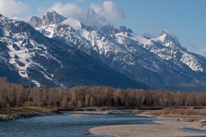 Snake River Scenic Float - Wildlife Encounters