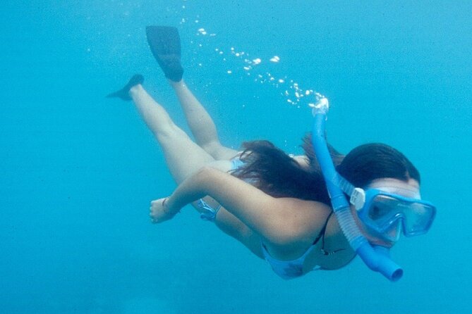 Snorkel and Beach Adventure Tour - Inclusions and Logistics