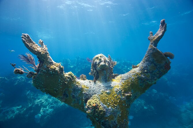 Snorkel Key Largo on Our COMBO Boat With Snorkeling Gear INCLUDED - Snorkeling Locations