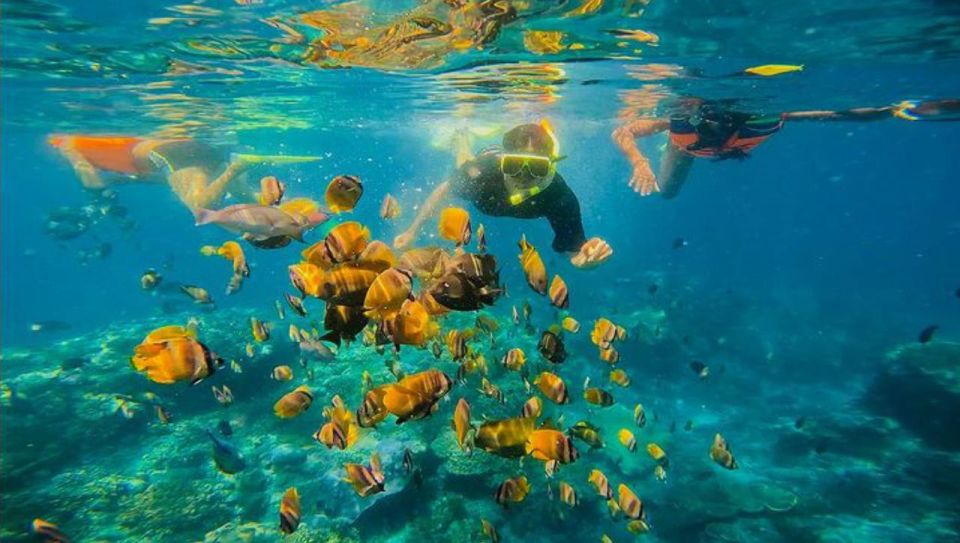 Snorkeling at Blue Lagoon and Waterfall - All Inclusive - Experience Highlights