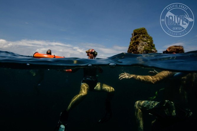 Snorkeling at Catalina Islands & North Island - CR - Inclusions and Logistics