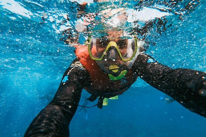 Snorkeling in Gran Canaria With Hotel Pick-Up - Guided by PADI Instructor