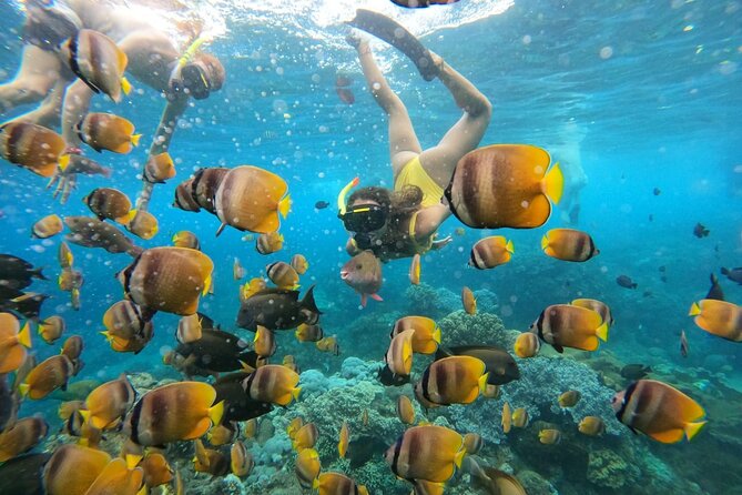 Snorkeling In Nusa Penida Island With Manta Ray From Bali - Inclusions of the Experience