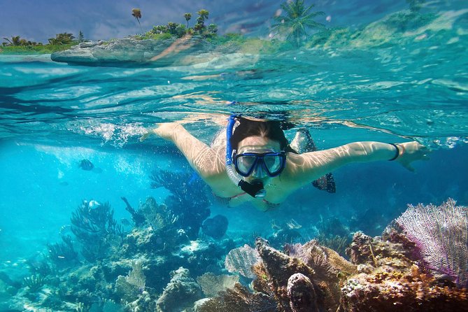 Snorkeling in Unawatuna - Whats Included in the Tour