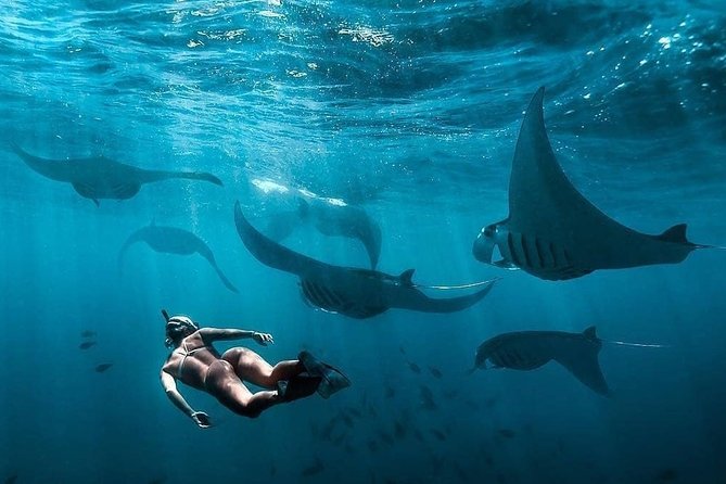 Snorkeling Manta Ray Safari in Nusa Penida - Snorkeling Safari Boat Excursion