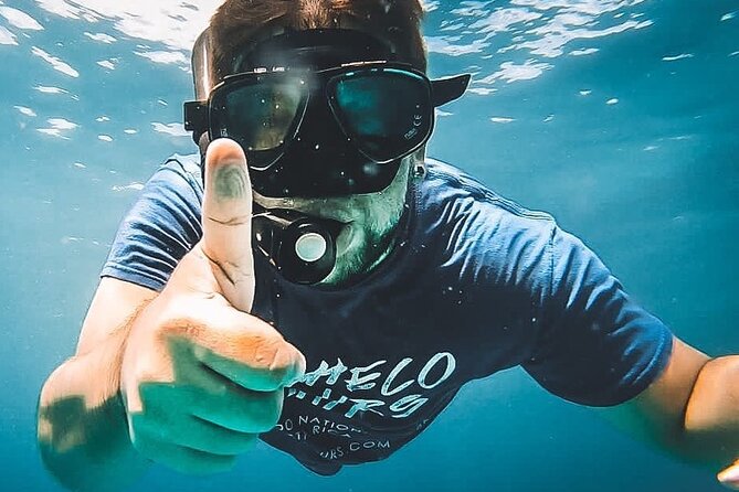 Snorkeling Tour in Caño Island With Lunch From Drake Bay - Marine Wildlife Encounter