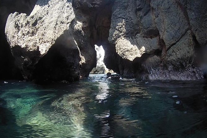 Snorkeling Trip - Transportation and Logistics
