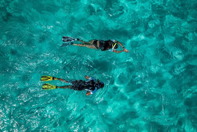 Snorkelling Trip at Ponta De São Lourenço Protected Area - Meeting and Pickup Details