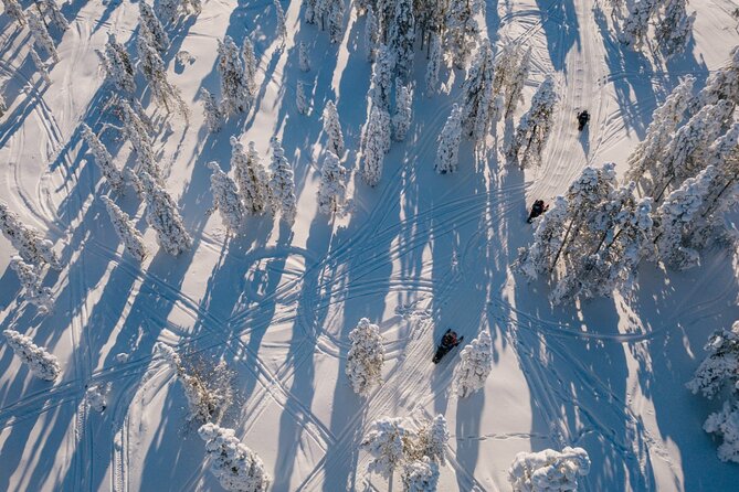 Snowmobile Safari Through Lappish Forest From Rovaniemi - Meeting and Pickup