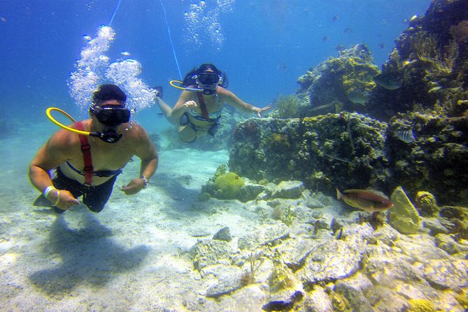 Snuba Adventure at Coral World Ocean Park - Tour Details and Requirements