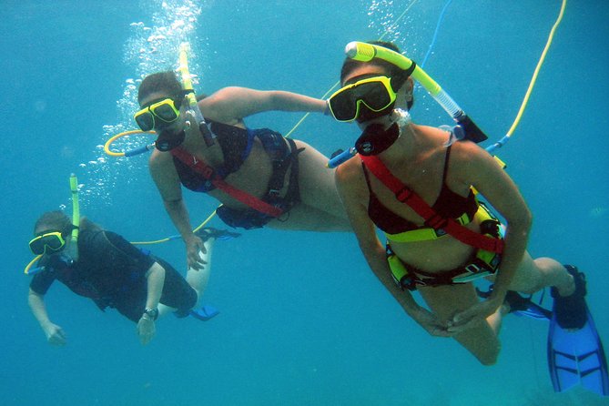 Snuba Adventure at Coral World Ocean Park - Tour Inclusions and Details