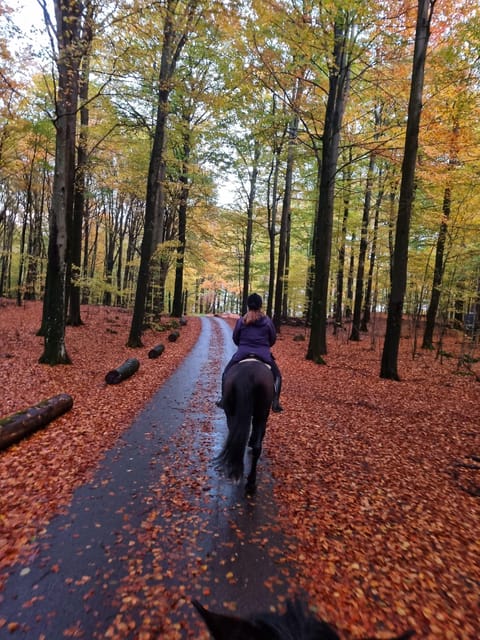 Söderåsen National Park: Horseback Riding Vacation 2 Nights - Accommodation Details